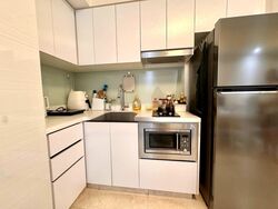 Eight Riversuites (D12), Condominium #580280831